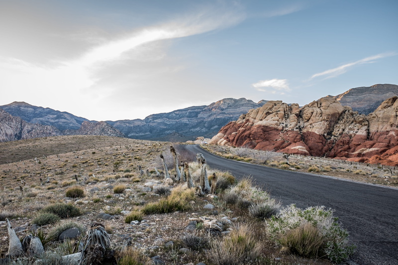 uSA, environment, summer, photography, land, scenics, no People, day, semi-arid, tranquil scene, color Image, desert, black, rock, beauty in nature, road