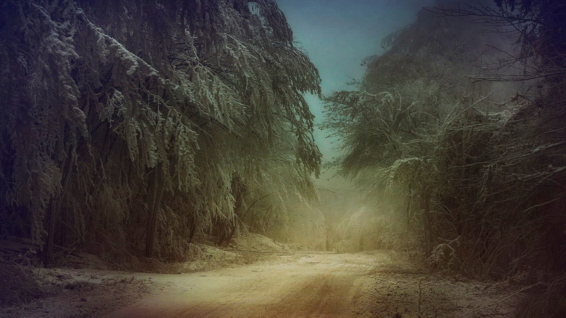 summer, tourism, geological formation, outdoor, wilderness, fog, no people, dirt road, trees, scene, hill, outdoors, canyon, transportation, vacation, slope