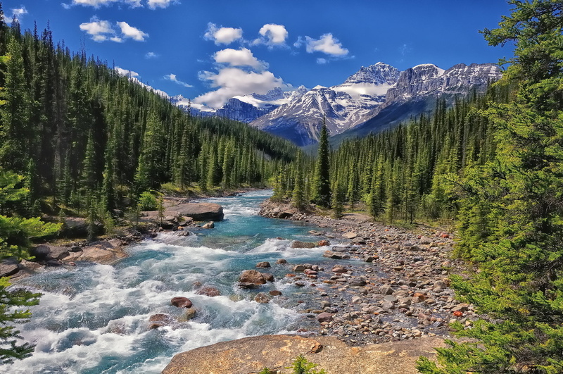 day, water, pine tree, rock, tree, cloud - Sky, plant, tranquil Scene, woodland, blue, summer, nature, lake, rock - Object, travel, canadian Rockies, 1080P