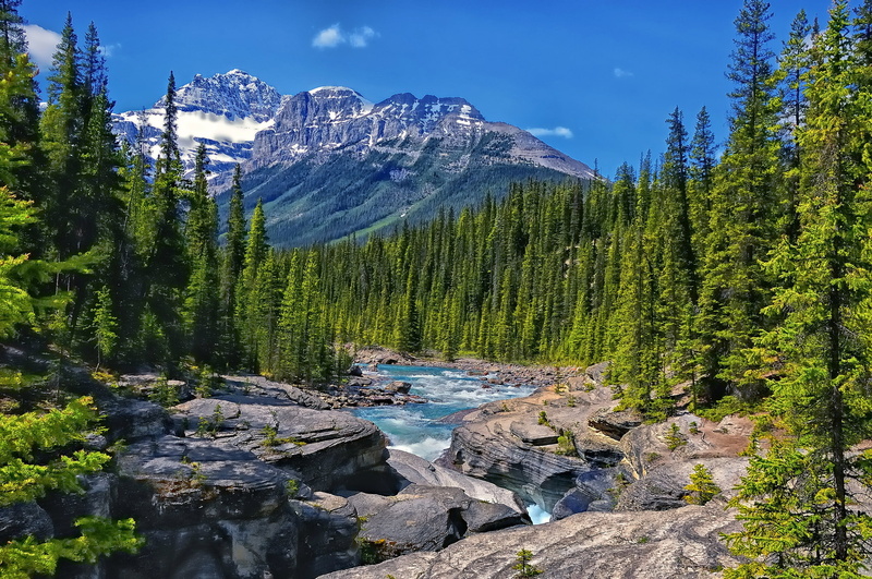 Alberta, rocks, forest, trees, river, 1080P, Mistaya River, Canada, mountains, Albert