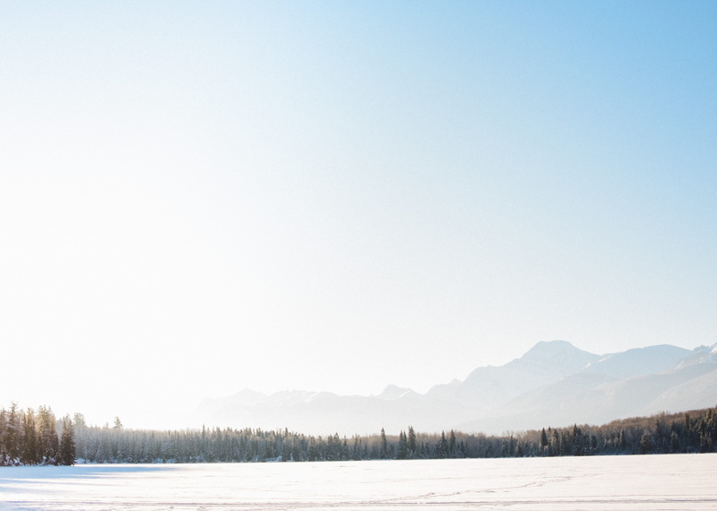 no People, next, winter, mountain, tranquility, covered, outdoors, cold - Temperature, clear sky, field, snow, ground, plant, environment, tree, tranquil scene