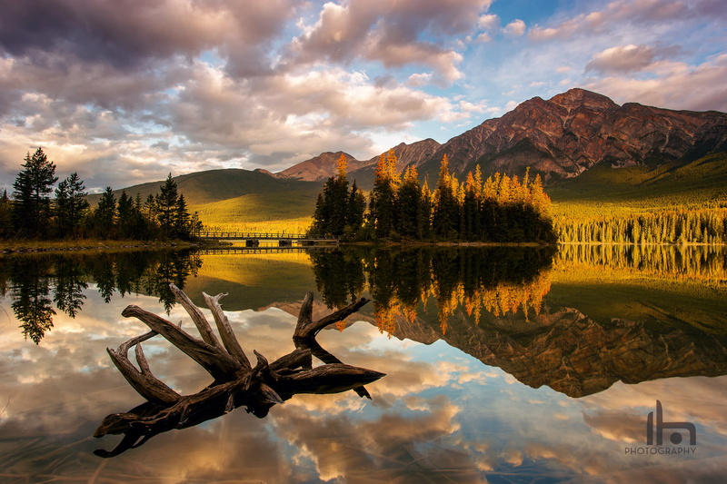 snag, Pyramid Lake, 1080P, mountains, forest, light, morning, Albert, Jasper national Park, Canada, lake