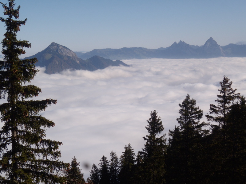 sky, myths, outdoors, mountain range, land, pine tree, klewenalp, lake lucerne region, forest, coniferous tree, 4K, nature, no people, sea of fog, great myths