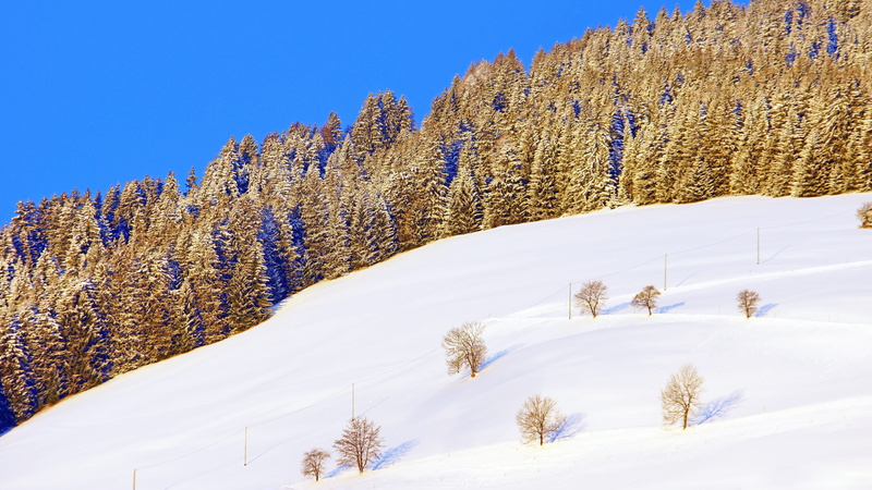 no people, snowcapped mountain, highway, conifer, way, cold temperature, mountain range, mountain, plateau, pine, covered, fir, sky, tree, tranquil scene