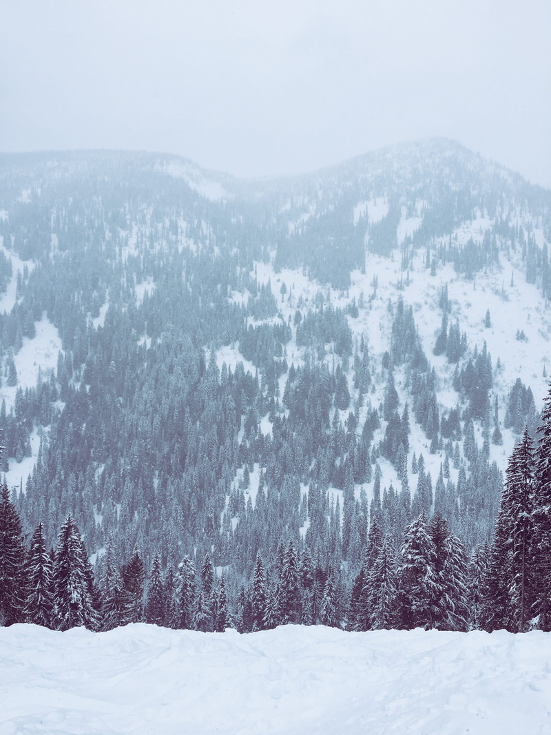 capped, snow, beauty in nature, environment, glacier, tranquility, no people, woodland, 4K, covering, plant, snowcapped mountain, avalanche, countryside