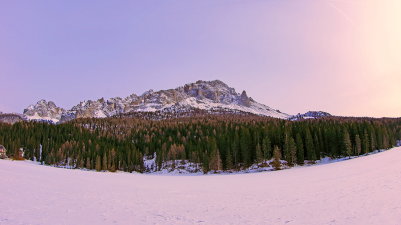 tranquil scene, sky, plant, evergreen tree, non-urban scene, scenics - nature, forest, spruce, snow, beauty in nature, mountain peak, trees, coniferous tree