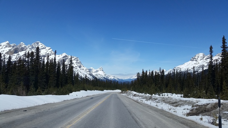 no people, scenic, mountain, coniferous tree, pine woodland, non-urban scene, nature, direction, tree, 2K, mountain road, mountains, pine tree, plant