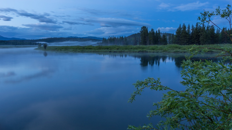 clouds, tree, day, growth, 1080P, national Park, cloud - sky, river, scenics - nature, fog, Oxbow Bend, non-urban scene, forest, blue, mountain range