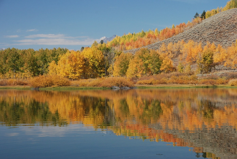 calm, tranquil scene, body, daytime, change, autumn, beauty in nature, reflection, landscape, idyllic, day, scenics - nature, tree, lake, outdoors, no people