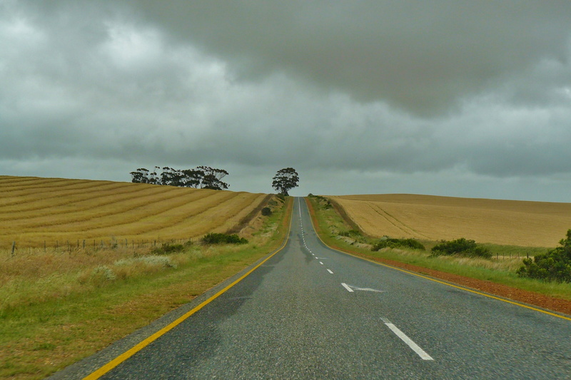 sky, weather mood, cloud - sky, fields, landscape, symbol, road, marking, transportation, road trip, the way forward, agriculture, plant, dom, infinity