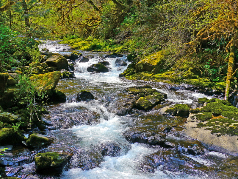 flowing, autumn, forest, Hike, stream, timelapse photography, photography, waterfall, Kid Friendly, rock - Object, flowing Water, scenics, timelapse, water