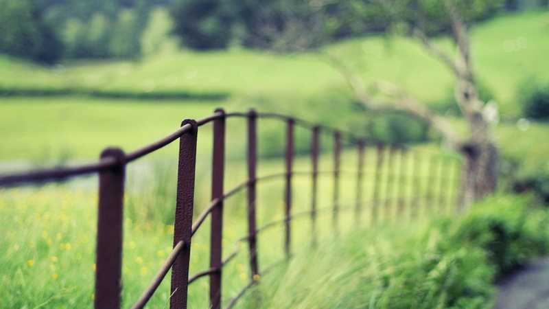 obstruction, field, selective focus, fence, no people, boundary, day, rail fence, landscape, focus on foreground, green color, plant, grass, 1080P, barrier