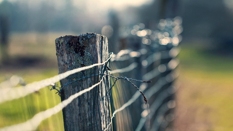 pattern, obstruction, protection, structure, focus on foreground, life, safety, chainlink fence, high, close-up, barbed wire, outdoors, post, sky, selective focus
