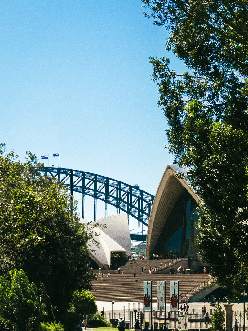 transportation, blue, bridge, connection, built structure, tree, obstruction, plant, outdoors, nature, day, harbour bridge, sydney landmarks, sunlight