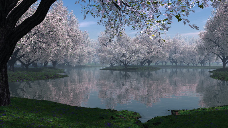 summer, 1080P, stream, flower, lakeside, cherry blossom, valley, natural, dam, no people, day, landscape, natural depression, vacation, sea, nature, island
