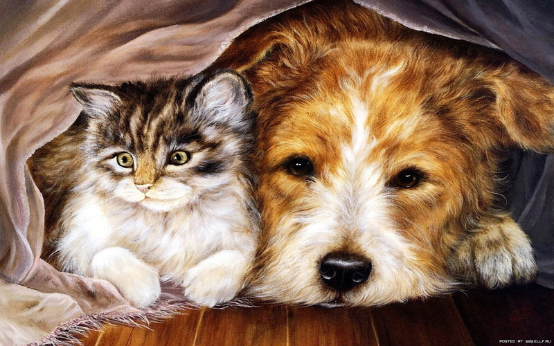 Cuddle, Dog, Artistic, Cat, 2K, Painting
