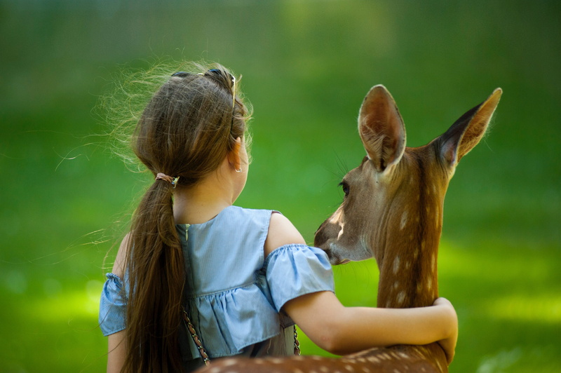 animal wildlife, one person, positive emotion, one animal, cuddle, pets, hair, pet, domestic, females, love, 4K, child, friends, childhood, girls, hairstyle