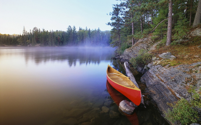 Canada, Lake, pinetree, 1080P, Canoe