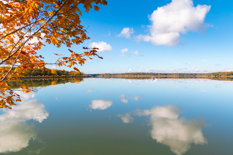 blue, fall leaves, 5K, tranquil scene, cloud - sky, fall color, tree, lonely, autumn light, change, mood, yellow, off the beaten track, orange, idyllic