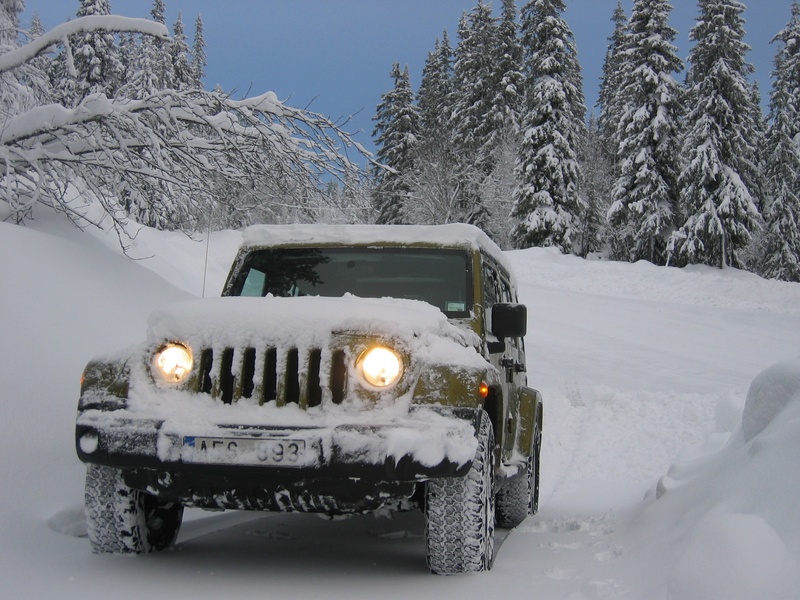 day, trees, near, beauty in nature, mode of transportation, deep snow, cold - Temperature, tree, nature, land Vehicle, no people, cold temperature, 1080P