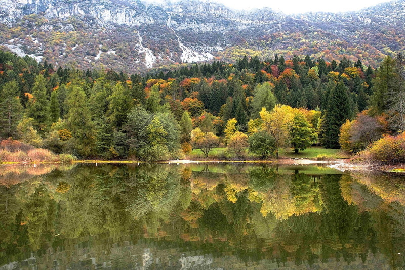 outdoors, autumn, trees, non-urban scene, day, water, landscape, tree, coniferous tree, nature, reflection, Italy, plant, tranquil scene, no people, waterfront