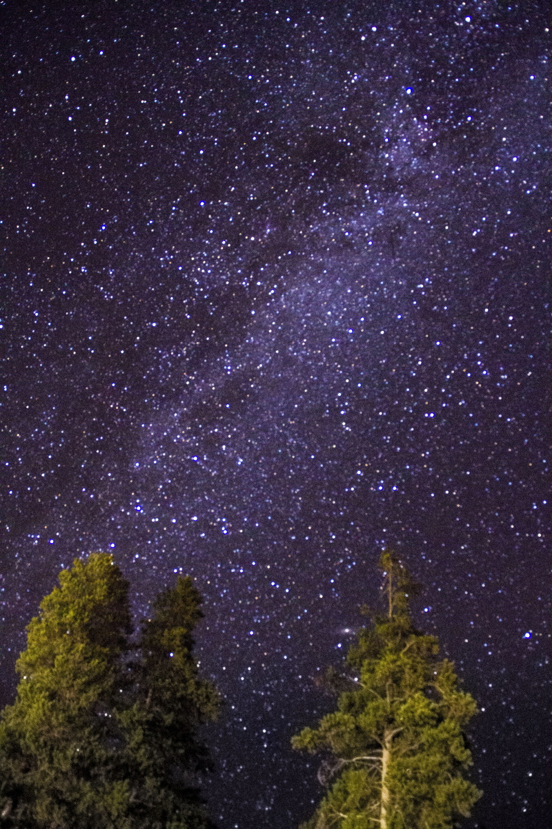 milky way, scenics - nature, yellowstone, yellowstone national park, plant, sky, wild, star - space, tranquility, low angle view, 5K, no people, landscape photography