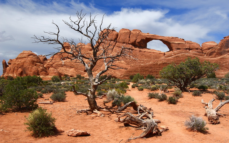 climate, hd, travel destinations, remote, sky, park, unburnsky, semi-arid, eroded, 4K, rock - object, natural arch, beauty in nature, stone, non-urban scene