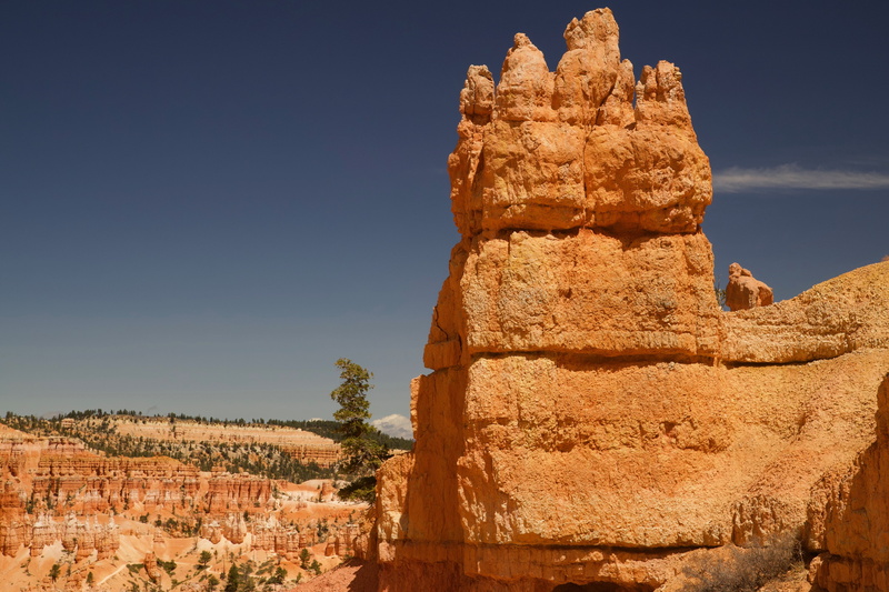 no people, outdoors, the past, bryce, canyon, ancient civilization, eroded, history, nature, sunlight, rock, usa, architecture, rock - object, red, park