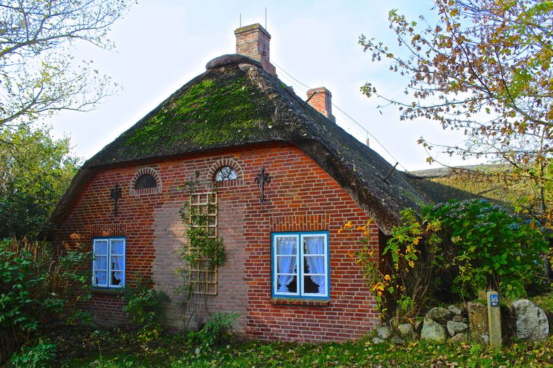 window, nature, religion, history, day, wall, outdoors, place of worship, Thatched Roof, building Exterior, house, roof, architecture And Buildings, no people
