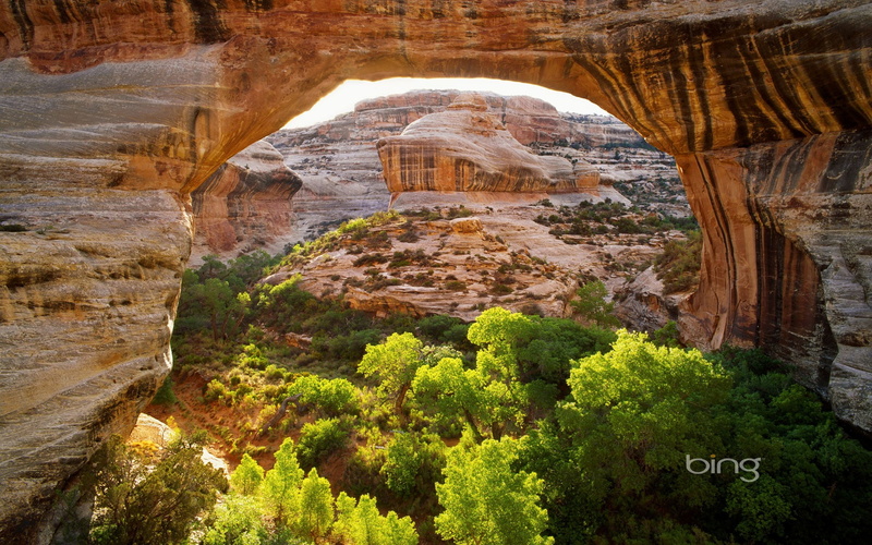 landscape, desert, Bing, trees, arch, 1080P, rock, sunlight, nature