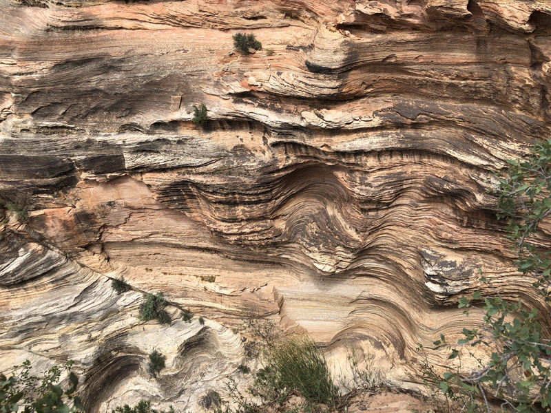 no people, tree, geology, outdoors, full frame, eroded, bronze, united states, rock - object, pattern, backgrounds, rough, waves, springdale, physical geography