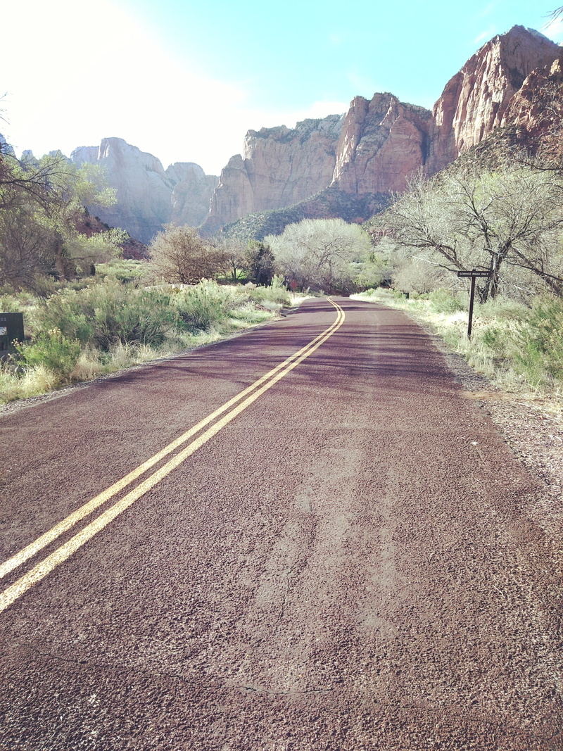 landscape, tree, diminishing perspective, no people, the way forward, environment, mountain range, day, marking, sign, united states, road, nature, 2K