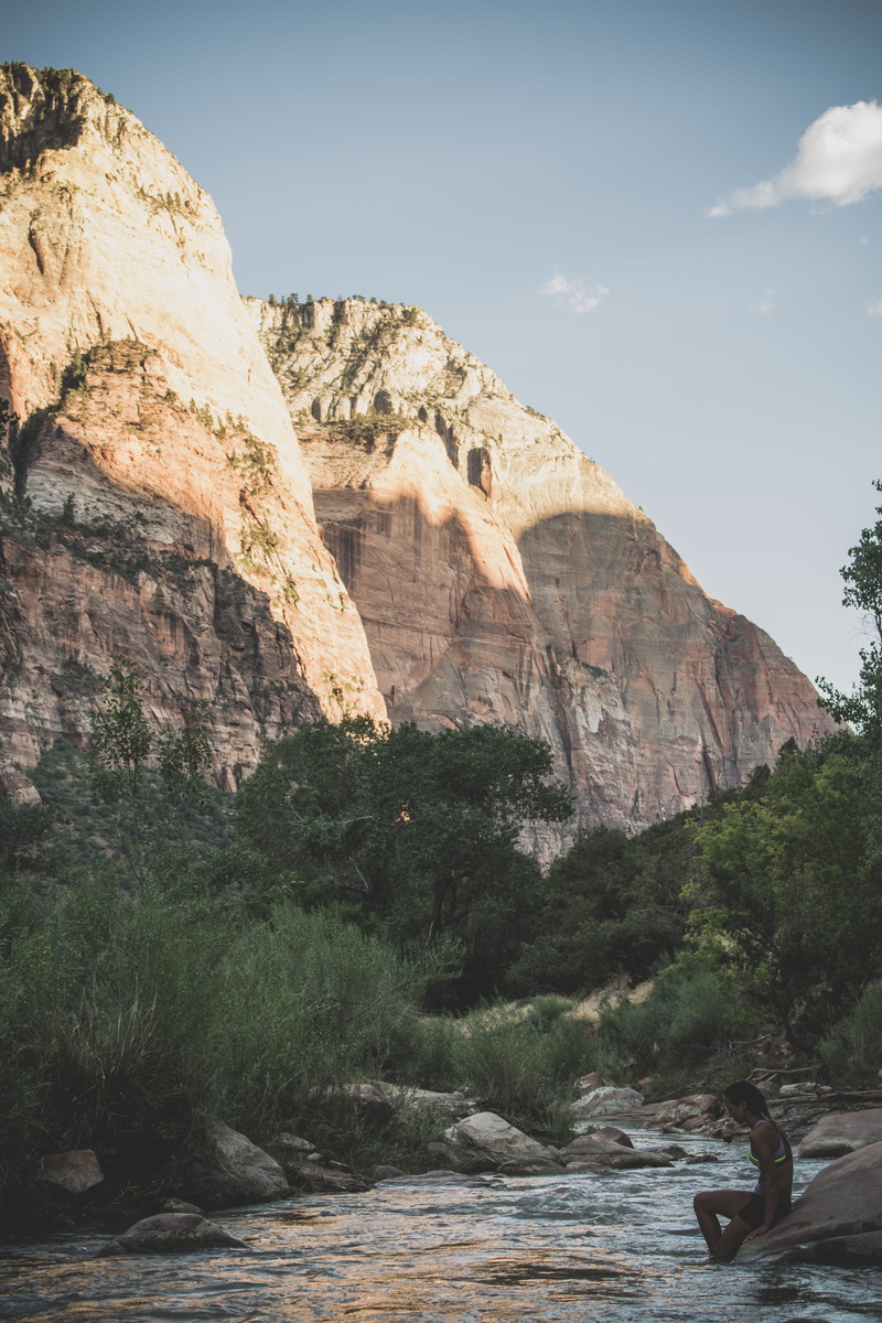 rock formation, outdoors, red, eroded, plant, tranquility, tranquil scene, water, cliff, moab, united states, zion national park, mountain, national park