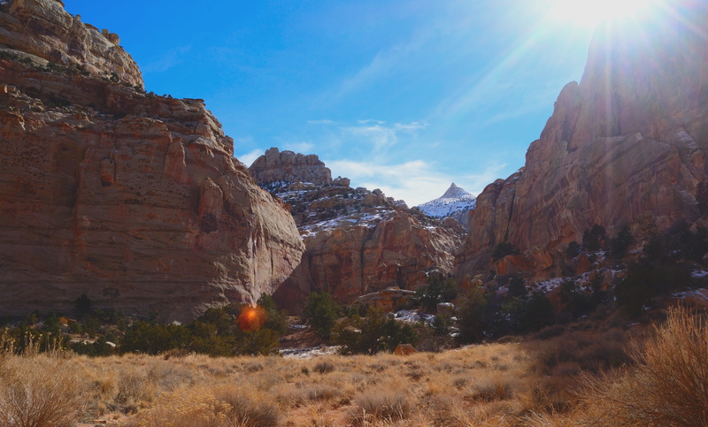 utah, mountain, non-urban scene, plant, formation, lens flare, scenics - nature, day, Rock, tranquility, outdoors, Capitol Reef, solid, National, 4K, Usa