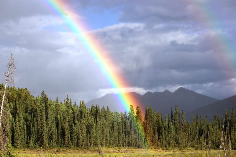 mountain, toad river, cloud - sky, non-urban scene, nature, multi colored, rain, arch, tree, rainbow colors, royalty, plant, outdoors, landscape, double rainbow
