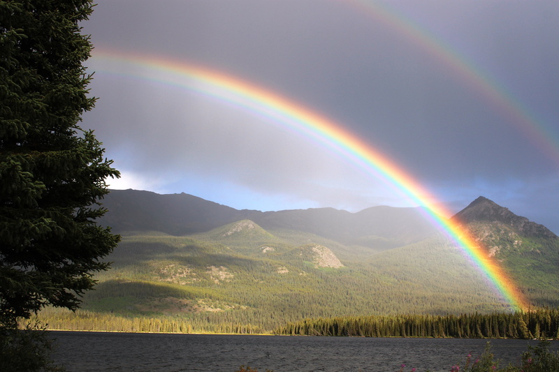 nature, arch, water, idyllic, cloud - sky, no people, palmer lake, sky, tree, non-urban scene, rain, rainbow colors, double rainbow, mountains, spectrum