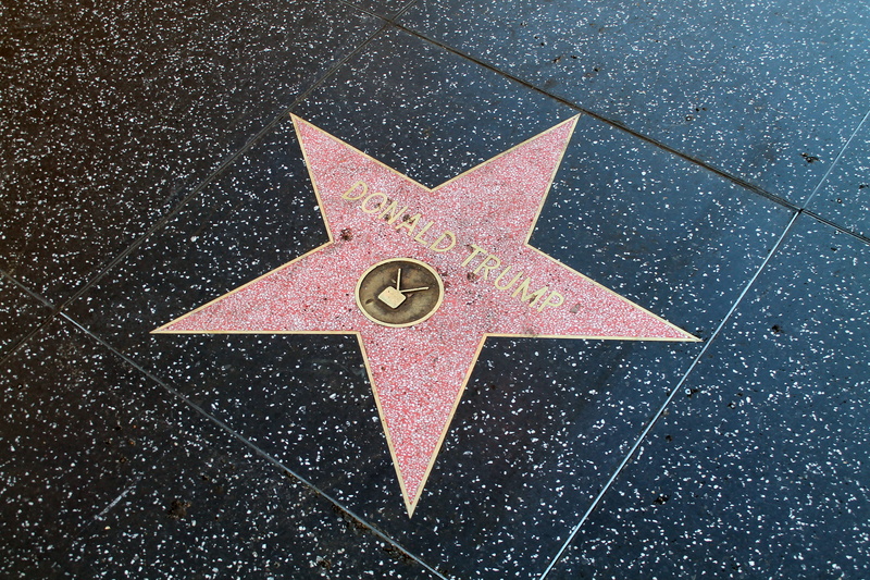donald trump, night, hollywood, walk of fame, symbol, art and craft, craft, star, famous, street, nature, flooring, los angeles, star shape, shape, close-up