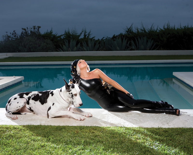 music, dog, pop, Poker Face, fame, Lady Gaga, celebrity, 4K, actress, singer, pool, girl, fashion