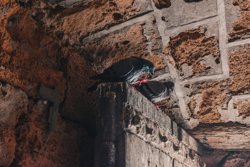 ruined, no people, outdoors, building, sitting, weathered, architecture, blue, old, building exterior, motion, low angle view, nature, solid, history, door