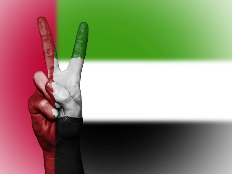 human hand, close-up, human body part, background, banner, rubber, ensign, travel, colors, holding, body part, hand, colored background, state, country