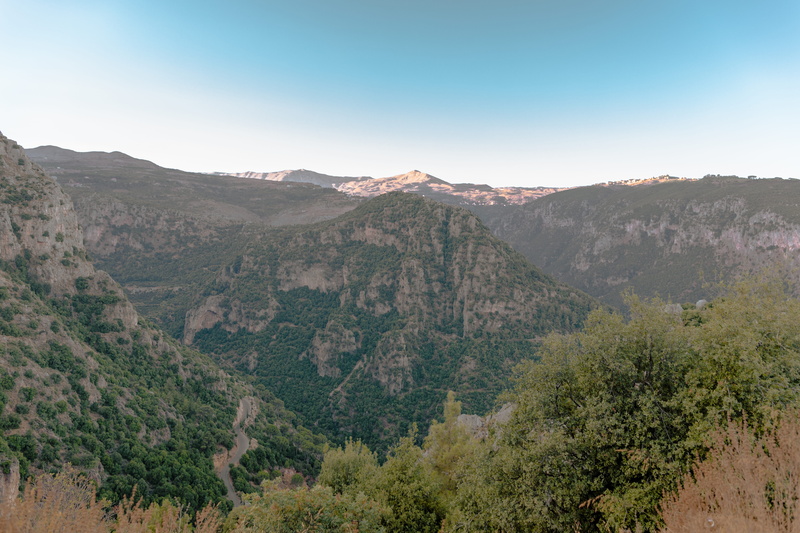 background, tranquil scene, dawn, no people, environment, layers, scenics - nature, tree, mountain range, coniferous tree, green, ehden, blue hour, growth