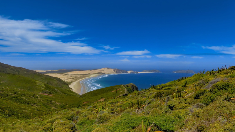 plant, ocean, wanderlust, grasses, cloud - sky, no people, scenics - nature, rock, unusual, beautiful beach, photography, summer, travel destinations, wave