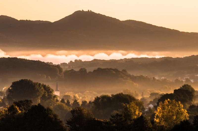gold, sky, silent, dawn, hill, scenics, bonn, sunrise - Dawn, river, sunset, scenics - nature, panorama, cloud - Sky, land, north rhine westphalia, treetop