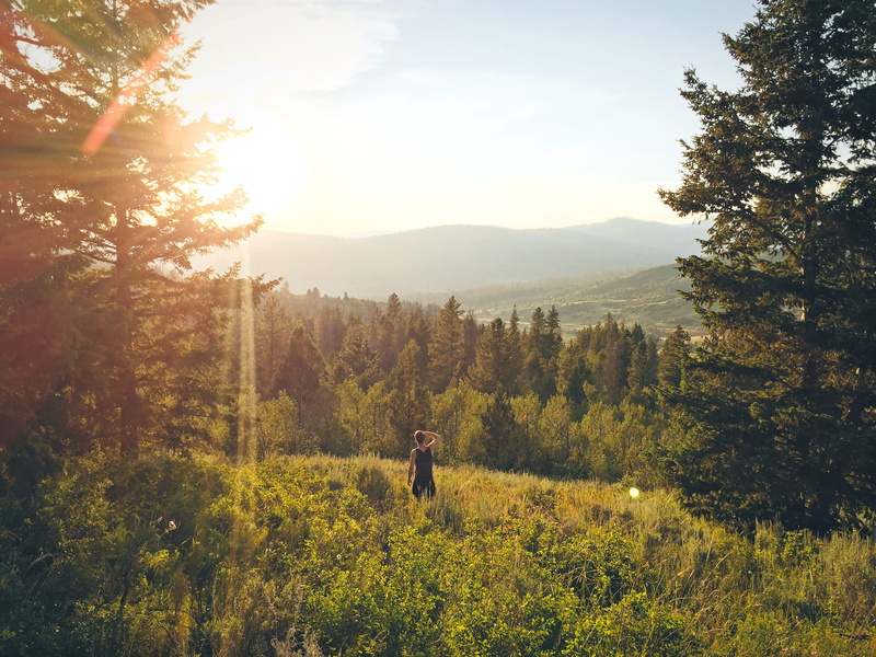 standing, mountain, non-urban scene, middle, one person, profile, land, high uintas wilderness, day, man, scenics - nature, tree, growth, men, sky, real people