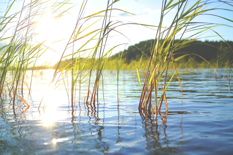 holiday, beauty in nature, water, scandinavia, mood, tranquil scene, abendstimmung, focused, day, 4K, sky, idyll, north, nature, no people, golden, waters