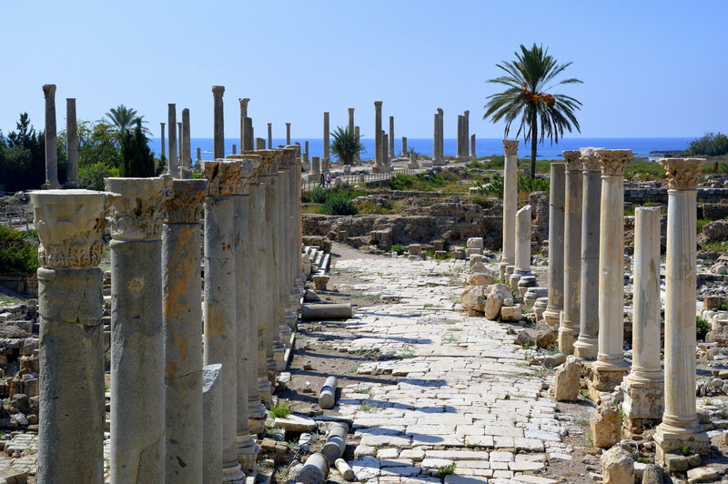 building exterior, day, ruins, lebanon, archaeology, security, excavations, phoenicians, the past, palm tree, clear sky, built structure, tyros, plant
