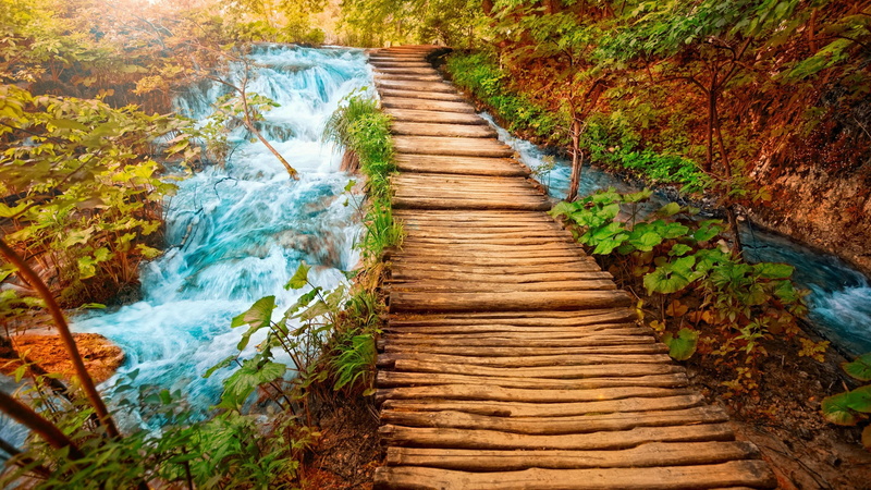 leaves, small, 4K, green, trees, rocky, bushes, wooden, water, waterfalls, path, red, river, coast, country, hd, clear, nature, forest, rocks