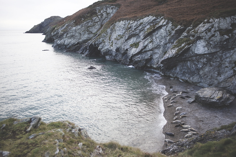 body, mountain, rock, beside, idyllic, grass, seashore, solid, sky, beauty in nature, rock - object, cliffs, landscape, formation, calm, ocean, day, sea