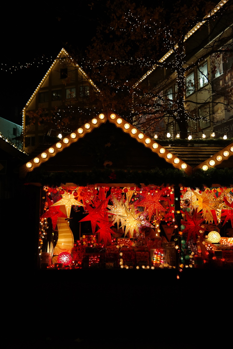 plant, Sales, nightlife, bude, glowing, architecture, building exterior, building, holiday, outdoors, performance, sale, christmas, lighting, indoors, lights