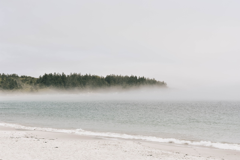 day, copy space, halifax, beach, tree, outdoors, landscape, no people, 5K, non-urban scene, land, fog, sky, lake, scenics - nature, tranquil scene, ocean